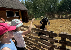 Wycieczka Wymysły pod Lasem