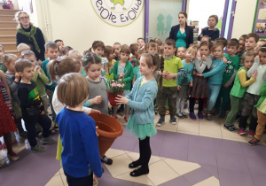 Biedronki otrzymały doniczkę i kwiaty.