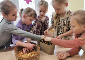 dziewczynki sadzą cebulki do doniczki z ziemią