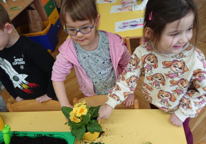 Dzieci sadzą kwiatki