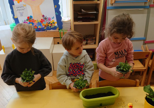 Dzieci sadzą kwiatki