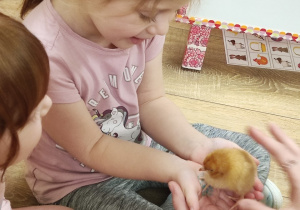 Dziewczynka trzyma kurczaczka.