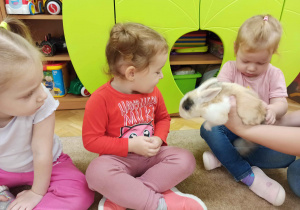 dzieci obserwują i głaszczą królika