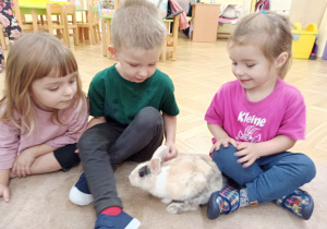 dzieci obserwują i głaszczą królika