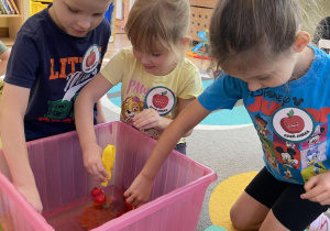 Dzieci chwytają pesetą jabłka z pojemnika z wodą