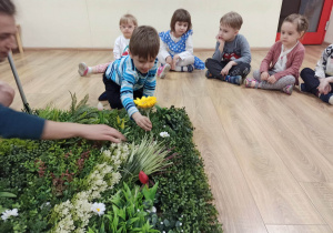 Chłopiec sadzi kwiatek na łące.