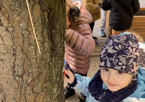 dzieci obserwują drzewa