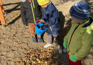 dzieci układają drzewo z liści