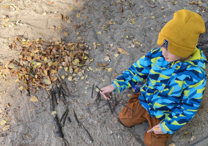 chłopiec układa drzewo z patyczków i liści
