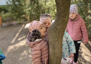 dzieci oglądają drzewa