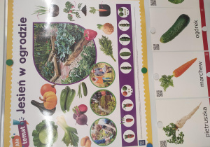 Tablica z ilustracjami warzyw