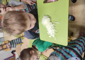 Dzieci wąchają cebulę