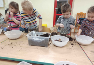 dzieci przygotowują las w słoiku