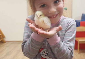 Emilka z kurczakiem