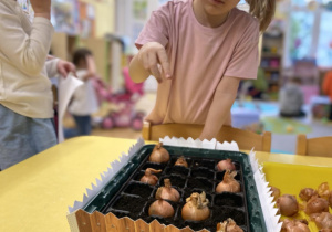 dzieci podczas sadzenia cebulek