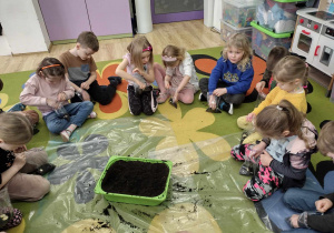 Dzieci zakładają hodowlę fasoli