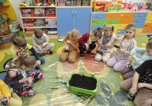 Dzieci zakładają hodowlę fasoli
